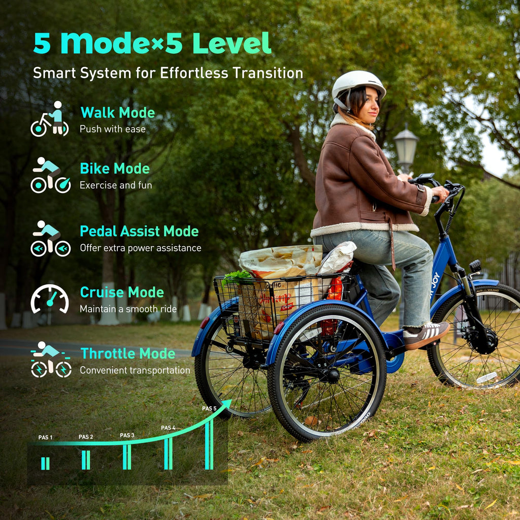 3 Wheel Electric Bike M4872