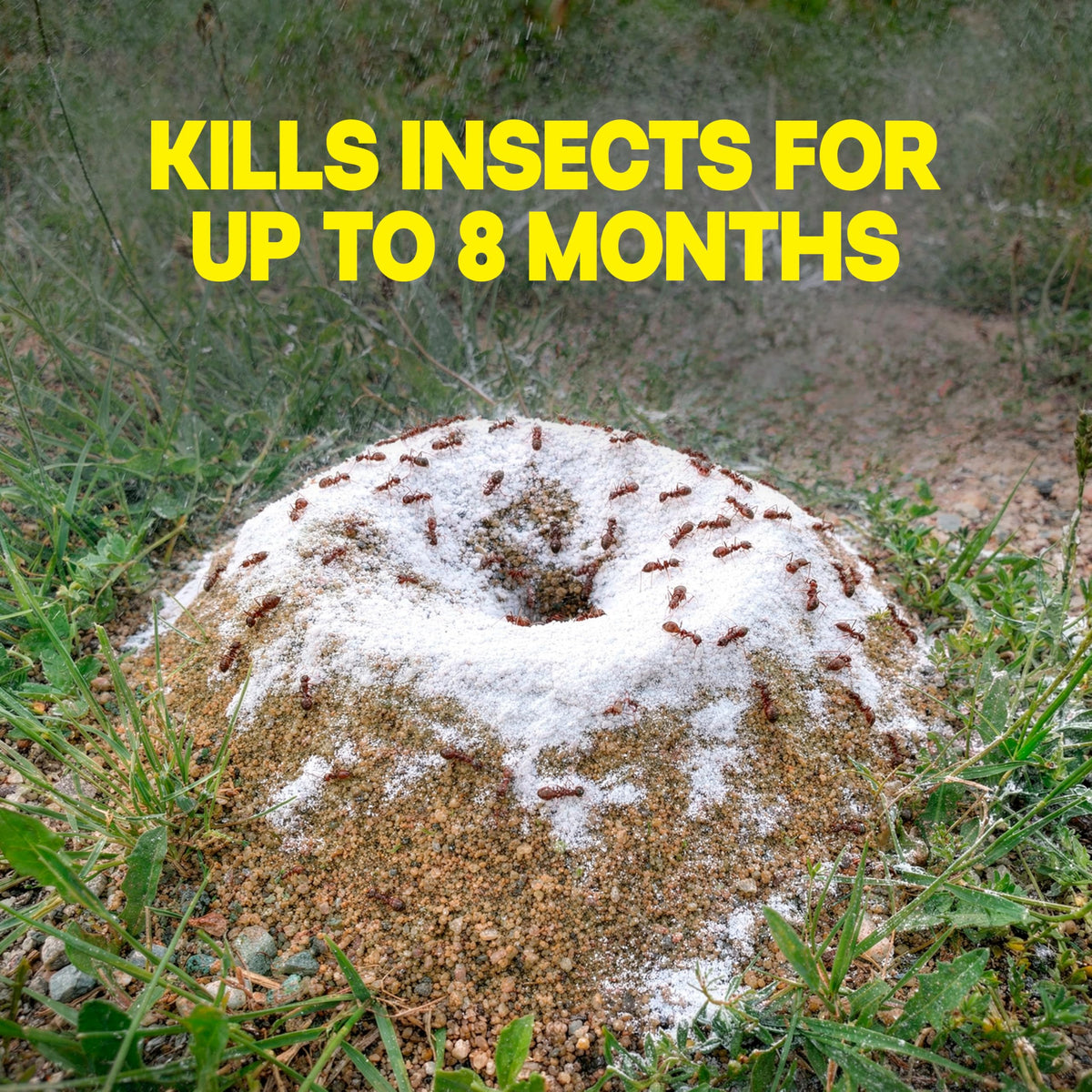 Outdoor Fire Ant Killer Dust 24 oz M218