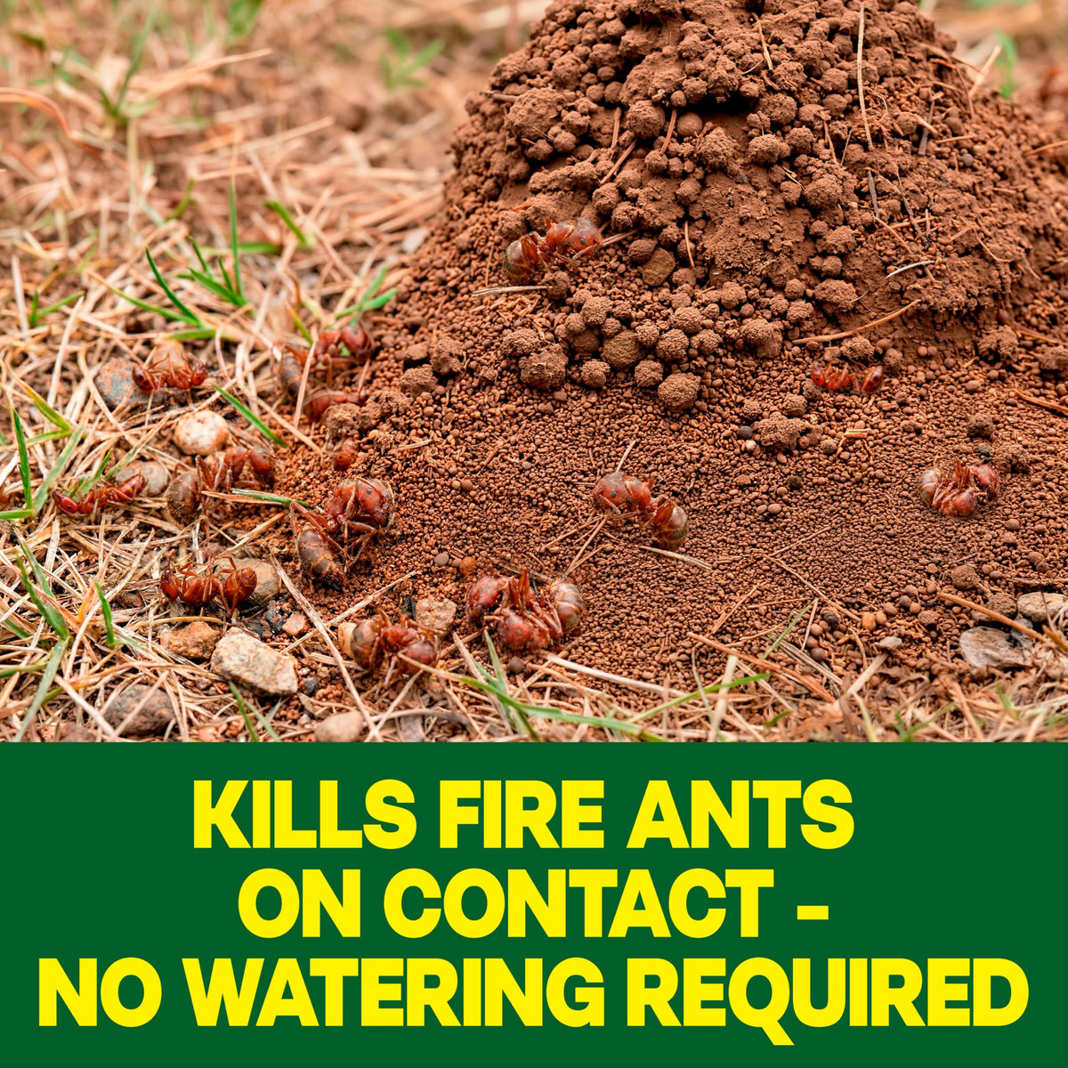 Outdoor Fire Ant Killer Dust 24 oz M218