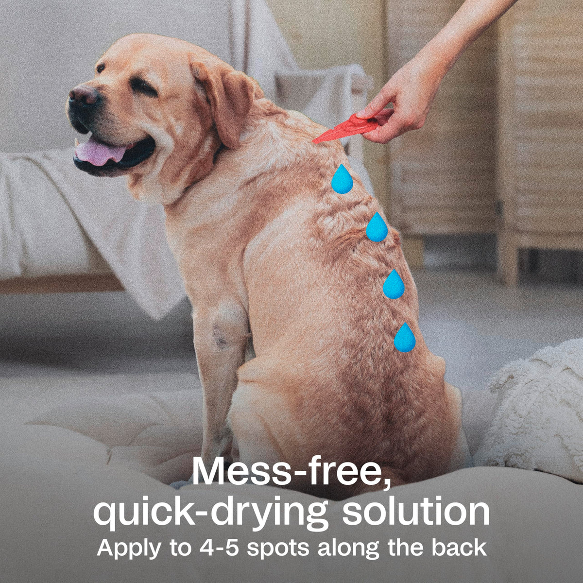 Flea & Tick Prevention Spot On 3 Pack K9750